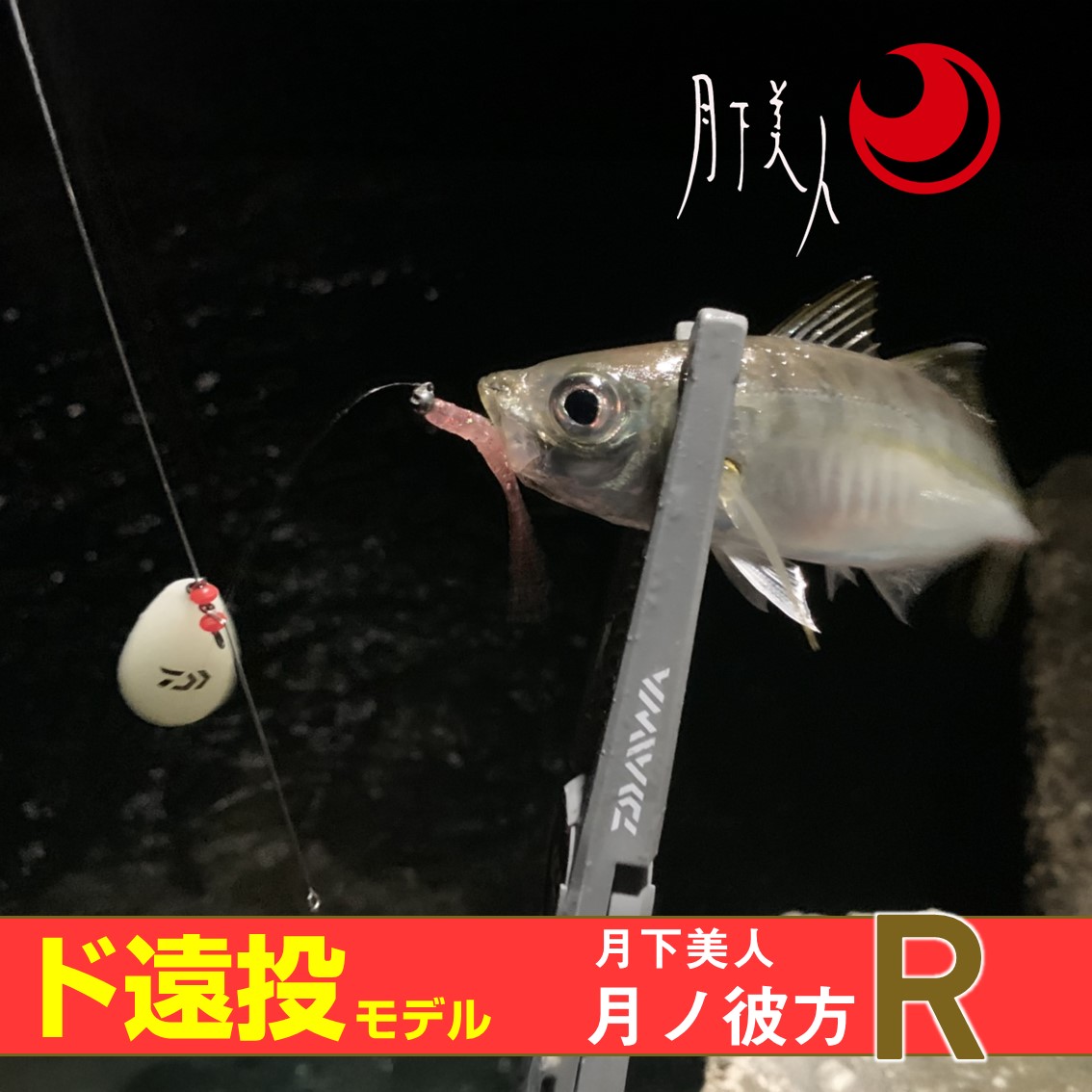 DAIWA - バルム の為ご購入出来ません❗ 楽天市場】ダイワ(DAIWA) : フムズ