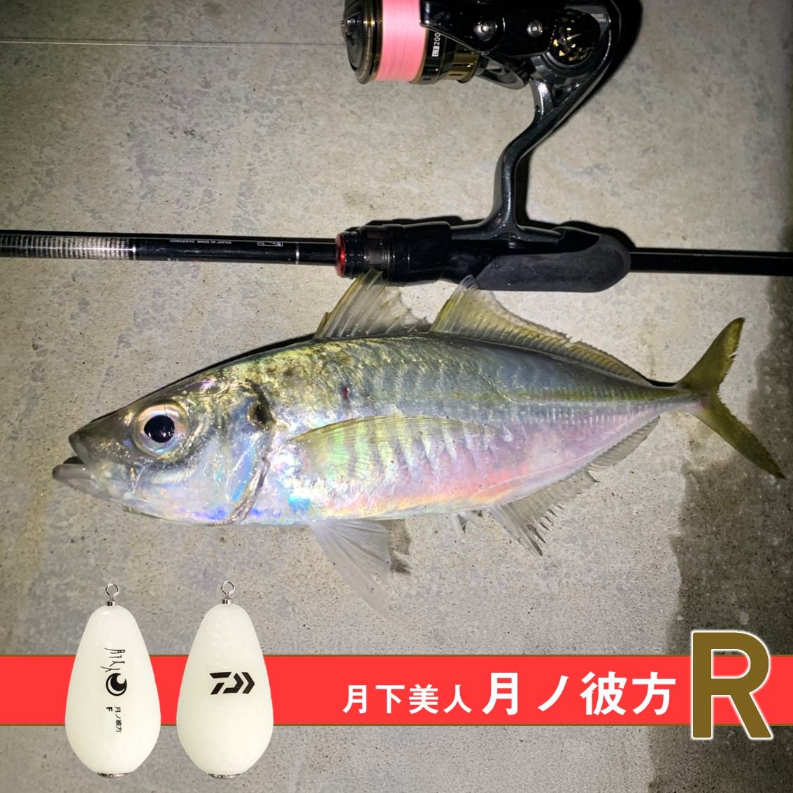 カメ吉さん専用ページダイワ(DAIWA) カメ吉さん専用ページダイワ(DAIWA)
