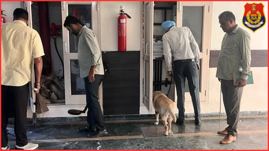 Keeping in view the security arrangements, Anti-Sabotage &amp; Dog Squad Team of SAS Nagar Police conducted a special checking operation at court complex to prevent any untoward incident. To report any suspicious or illegal activity please dial 112.

#YourSafetyOurFirstPriority