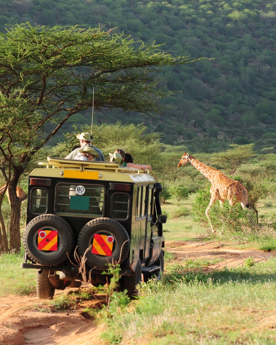 africanbudget's tweet photo. East Africa safari dilemma ✨ squad goals or solo vibes? ✨

🐘 Group safaris = wallet-friendly, set itineraries &amp; instant buddies.

🦒 Private safaris = your trip, your rules.
Think Kenya: $300/day, Tanzania: $350/day

Which safari style suits you? 👉 https://t.co/AkMyOU7U47 https://t.co/TaDFNbobkm
