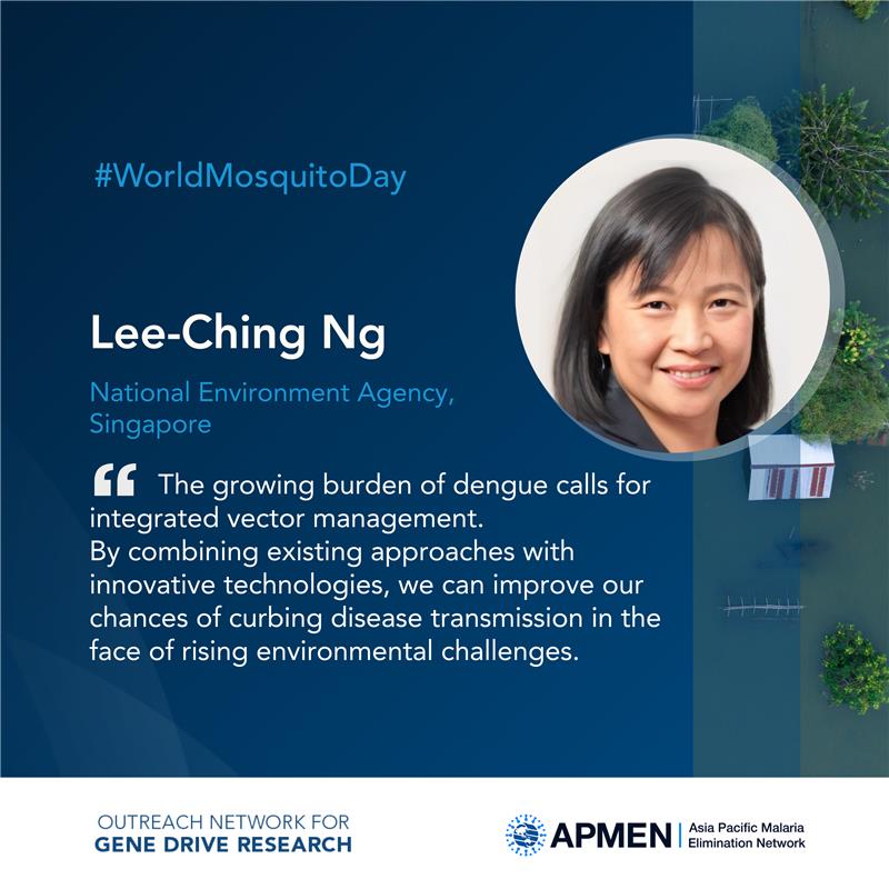 🌍 Live Now: #WorldMosquitoDay Webinar 
Co-hosted by <a href="/APMEN/">Asia Pacific Malaria Elimination Network</a> &amp; <a href="/genedrivenet/">Outreach Network for Gene Drive Research</a> 

A/P Ng Lee Ching from Singapore's National Environment Agency shares Singapore’s innovative approach to #dengue control, highlighting Project #Wolbachia—a game-changing strategy in vector management.