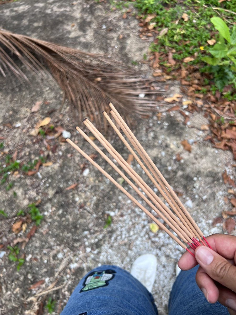 positivecrash's tweet photo. @Anna_Wimmer_S @AIRA_Robonomics @EnsRationis Exactly, that was us with the incense 😅💭 https://t.co/JQqb5Ucyva