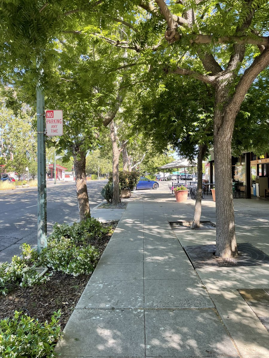 algoroad's tweet image. This is your calling to take a vision trip to Palo Alto