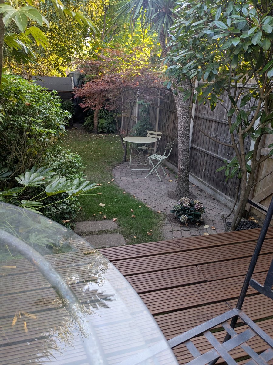 New favourite spot for my morning coffee. Home.