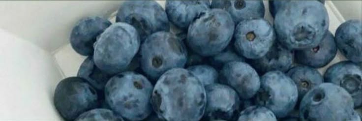 ꒰=⩊= ꒱﹒sera﹒♡ for moots !! tweet media