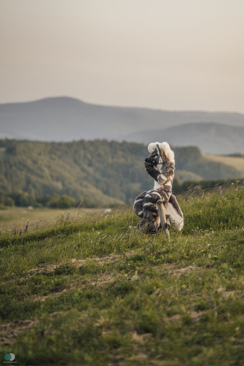 I'm so in love with how these turned out🥺

📷:<a href="/lextramow/">Lexi McSwirl</a>