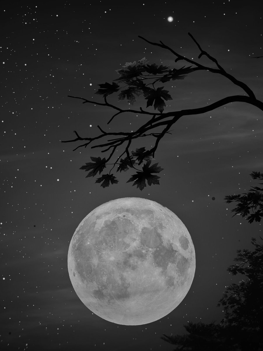 caiquevp's tweet photo. Moon days 🖤✨ 

#HorizonForbiddenWest 
#VirtualPhotography https://t.co/d6fLxeRmRC