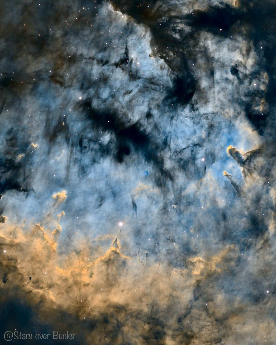 Optolong_filter's tweet image. NGC 7822. A beautiful star forming region in the constellation Cepheus. 
🔭Stellarvue SVX130T f/7
📷Zwo ASI 2600MM Pro
Exposure: 60 x 6min SHO, 5x 2min RGB
Mount: iOptron CEM70
Guiding: ASI120mini, 60mm scope
Filter: @#Optolong 3nm and #RGB
Sky: Bortle 6
Credit: Stars Over Bucks