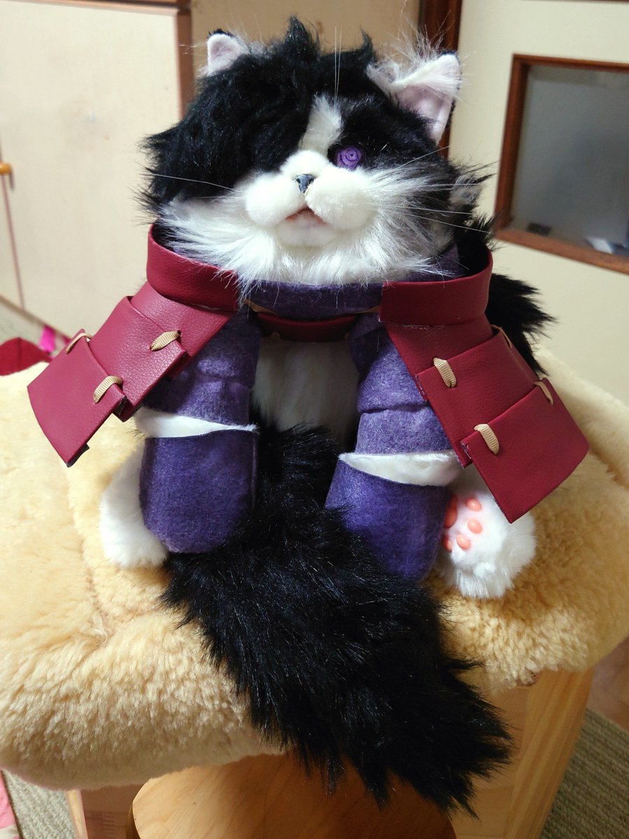 rearnalt's tweet photo. 完成マダラにゃん！
買ってからずっと飾っていただけのにゃんこリュック、改造したら結構イケるんじゃないかと思ってやってみたら思ったより可愛くできたんじゃないでしょうか(*´艸｀*)

輪廻眼はもうちょっとデフォルメさせとくべきだったか…？いや凛々しさもあってこれはこれで…… https://t.co/a0khDDjXuP