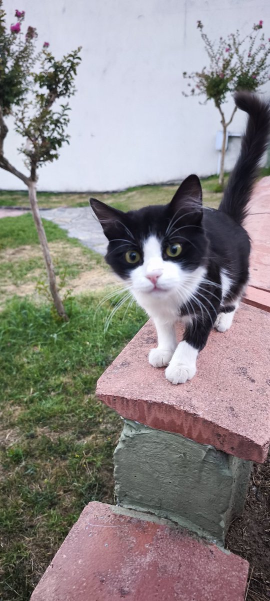 farkımız yok inan ki
gözbebeklerim büyüyor benim de
nefes nefese atlar koşuyor
rengarenk gözler geçiyor içimden
günde bin defa vurulup düşüyorum
farkımız yok inan ki
ben de siyah ve beyazım
sen de binbir kapı üstelik 
ben tek kapı gözlerim...