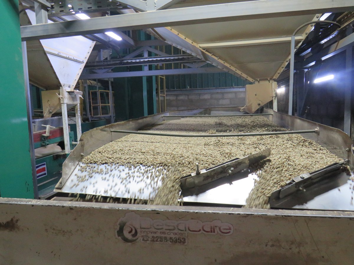 Minister Raphael Magezi backs Agri Evolve Coffee Co,  praising its impact on farmers’ livelihoods &amp; jobs. He gave a green light for a 49-year lease approval for expansion in Kisinga Town Council yesterday during his fact finding visit at Agri Evolve ! #Kasese #UgandaCoffee