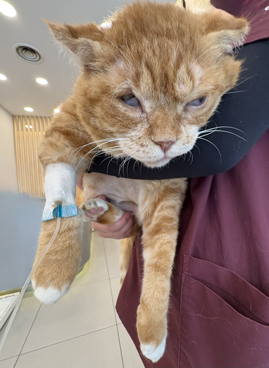 냄웃김 진짜 (마취깬직후라얼굴이엽기)