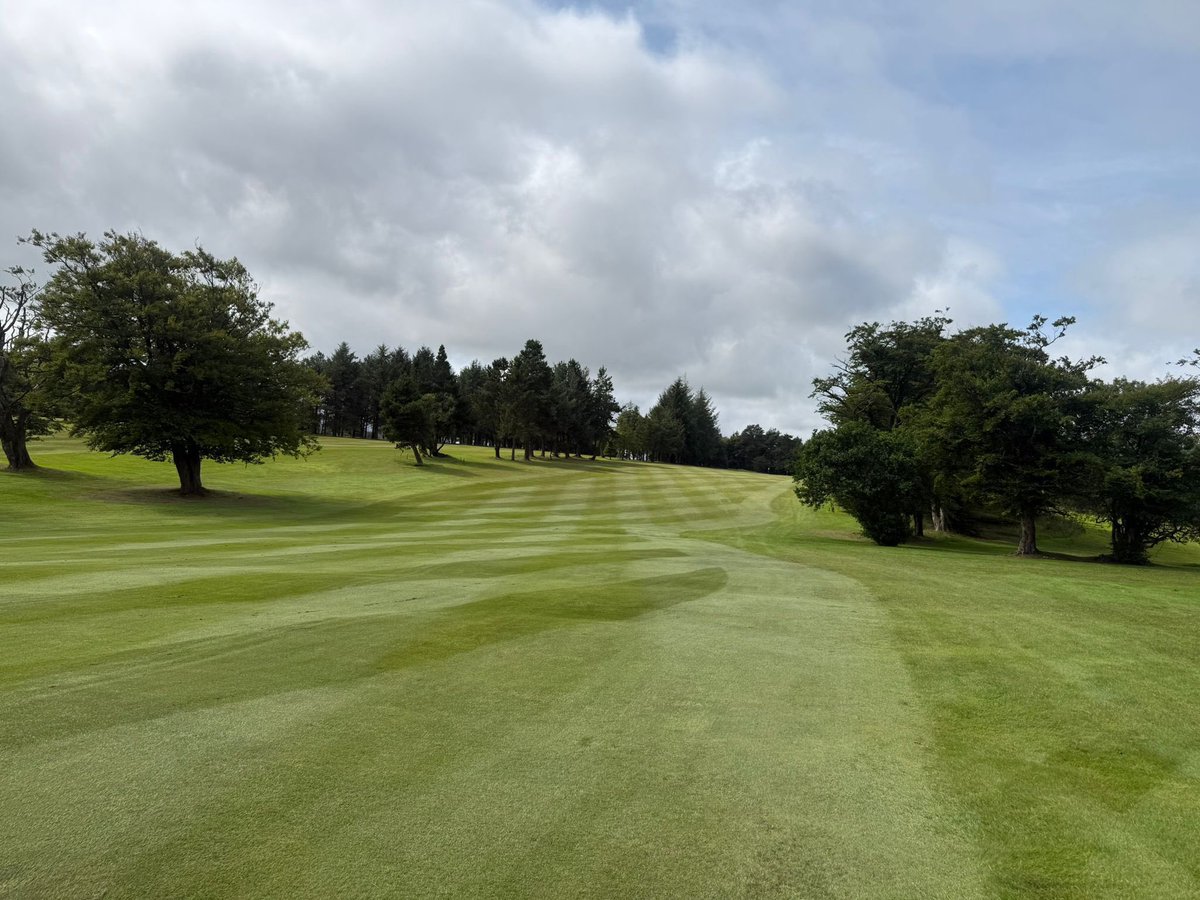 dullaturgc's tweet photo. ⛳ Ladies Tri-Am Golf Open – just 3 weeks to go!
📍 Carrickstone Course
🕗 Tee times: 8:30am–2pm
👭 Grab 2 friends &amp; join the fun!

Spaces filling fast – book now 👉 https://t.co/LR4k9d6izX

#Golf #WomensGolf #GolfOpen#lettourgolf https://t.co/BL48BoVUSM
