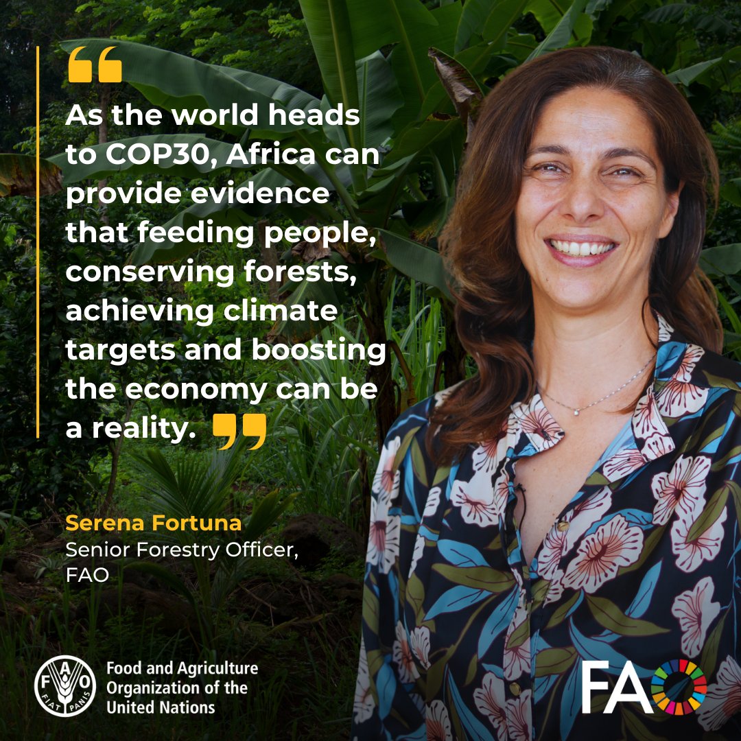 FAOForestry's tweet photo. African countries are advancing solutions to reverse deforestation &amp; strengthen agriculture, and helping create innovative tools that offer triple wins for forests, economies &amp; climate, @FAO's Serena Fortuna @FortunaS_FAO tells #TICAD9 side event

@UNREDD @ITTO_SFM @MAFF_JAPAN https://t.co/TZJMoJIml4
