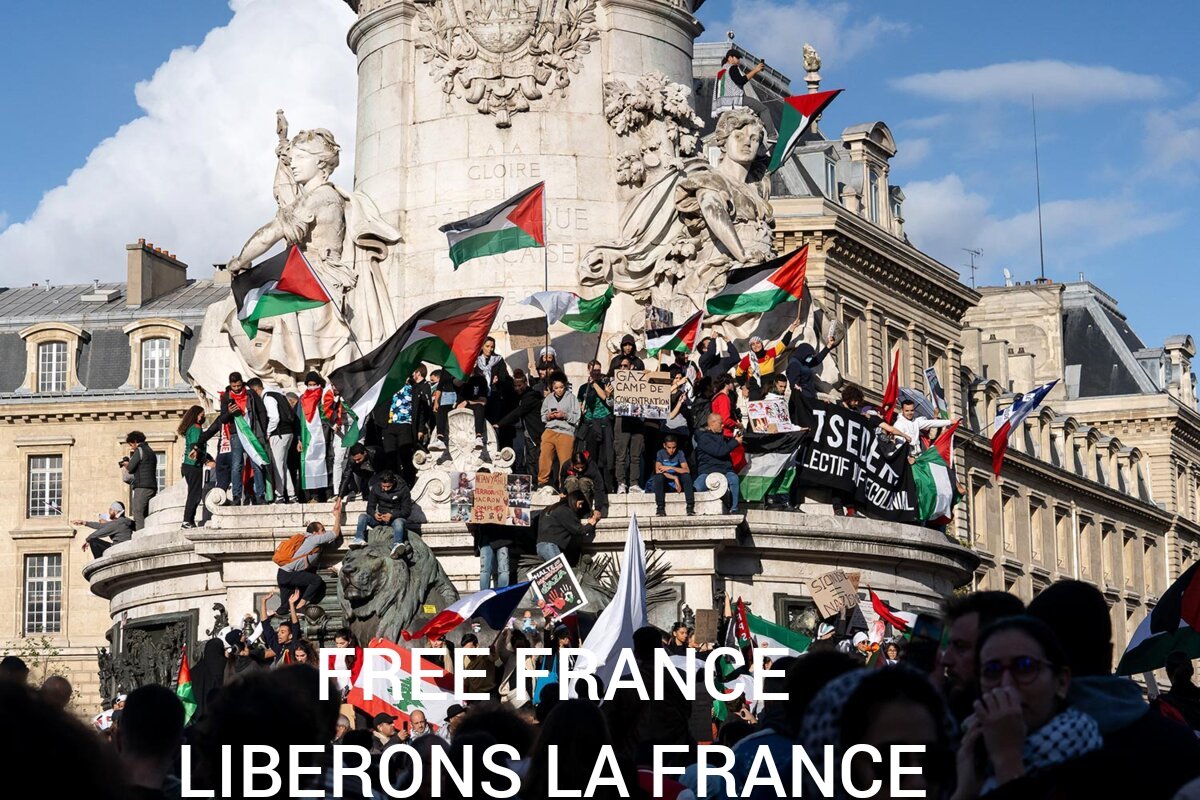 🚨🤬 j'en ai marre  de voir des free palestine, excuse pour diffusé un message antisémite. 
Je vois la France envahie par des hordes barbares alors mon message est 
#FREEFRANCE
ET VOUS QU'EN PENSEZ VOUS ❓