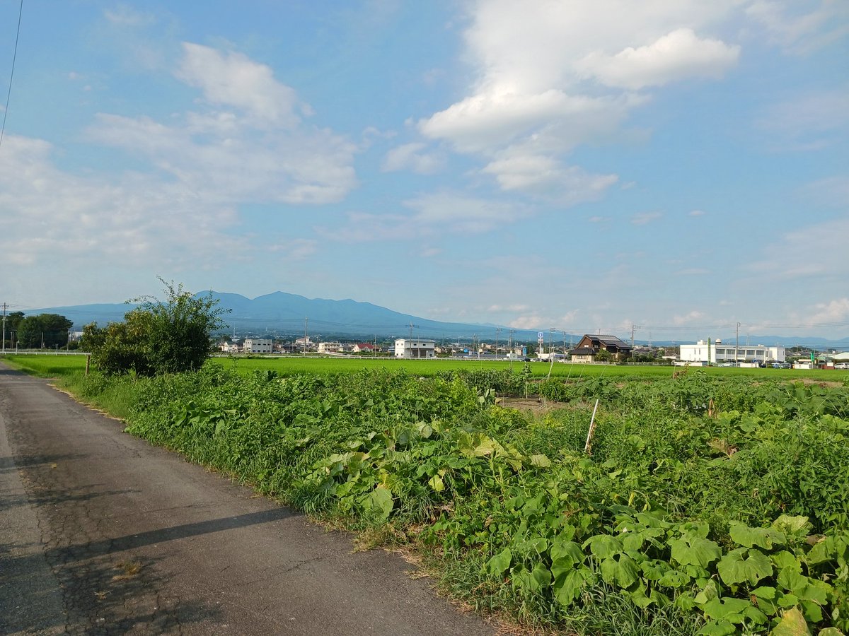 THE9S3p2a5_'s tweet photo. おつかれさまです~🎵🎶😀👍
#ザスパーイ〰️〰️😌♨️
#ザスパワー⤴️⤴️⤴️💪
#今日のレモン🍋🍋🍋
#thaspa
#ザスパストア✨✨✨ https://t.co/3CczHYG6ur
