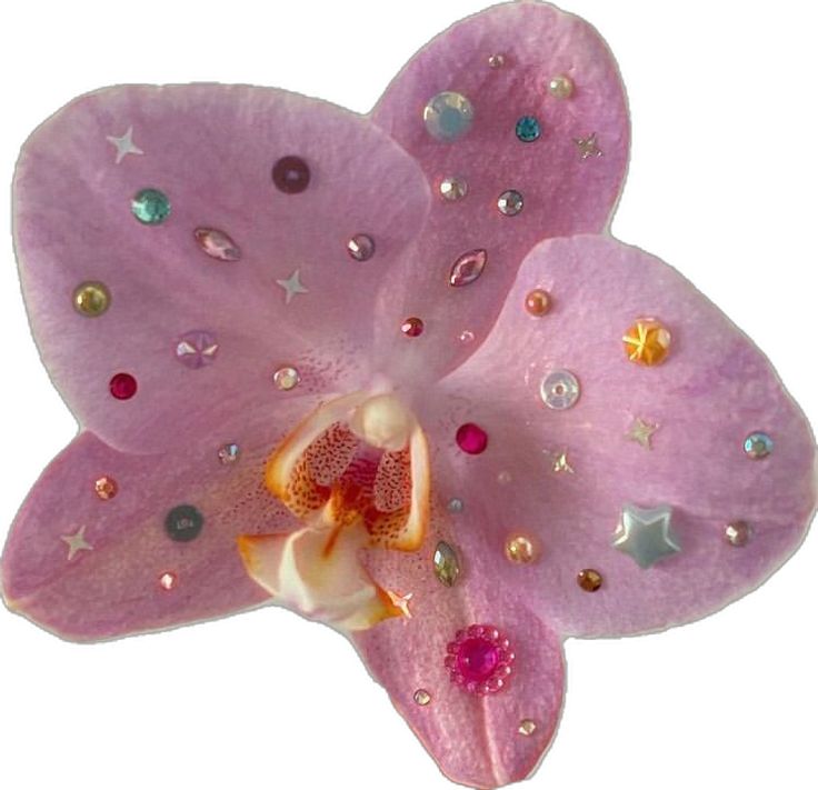 ~dedicated to #ナルヒナ
☀️;✩°𓏲⋆🍥.*