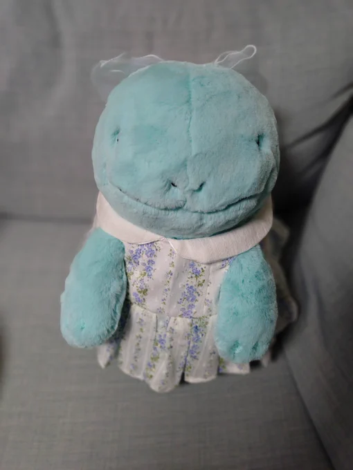 ゆきみるさん にぬあちゃんのワンピースを作っていただきましたぬおみちゃんとお揃いりぼんまでいただきましたチェキも可愛いこの度はありがとうございました!