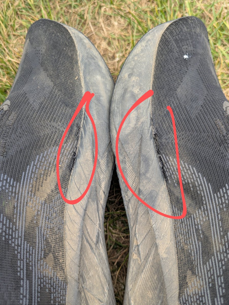 Tim Brown tweet media