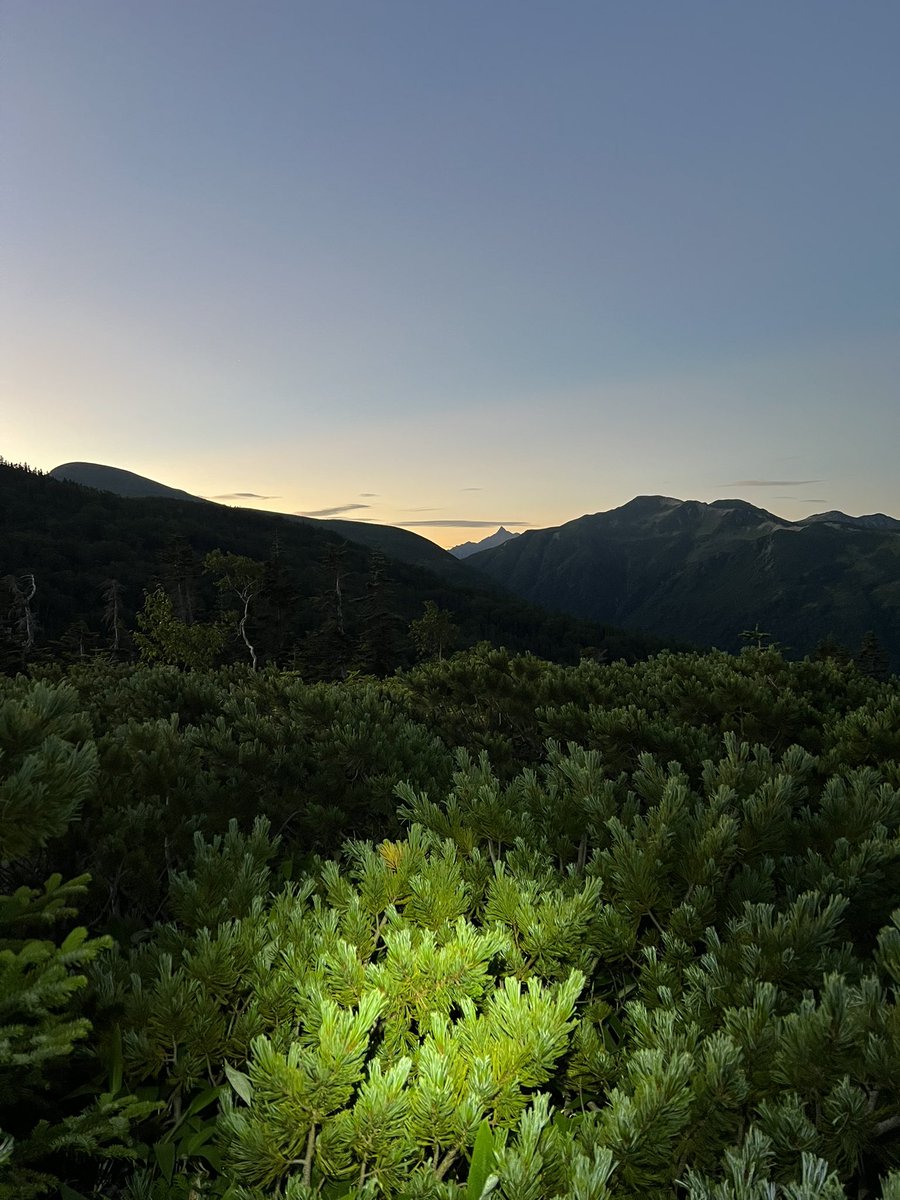 experi__'s tweet image. Went on 3 days solo hiking trip to Nagano Northern Alps and touched ALOT of grass