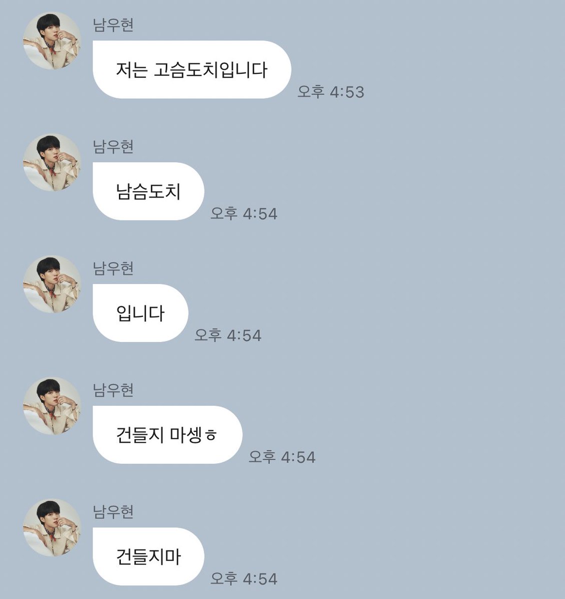 뽀 tweet media