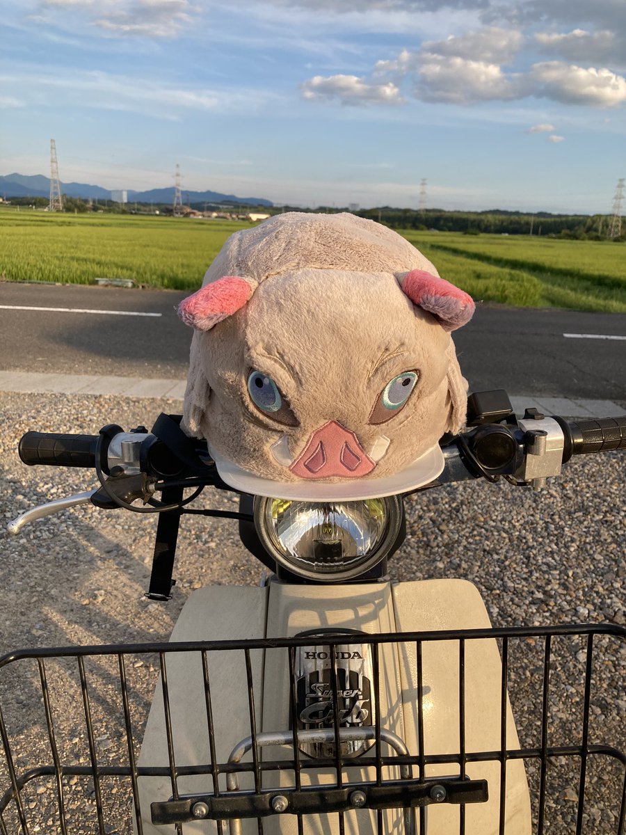 猪突猛進