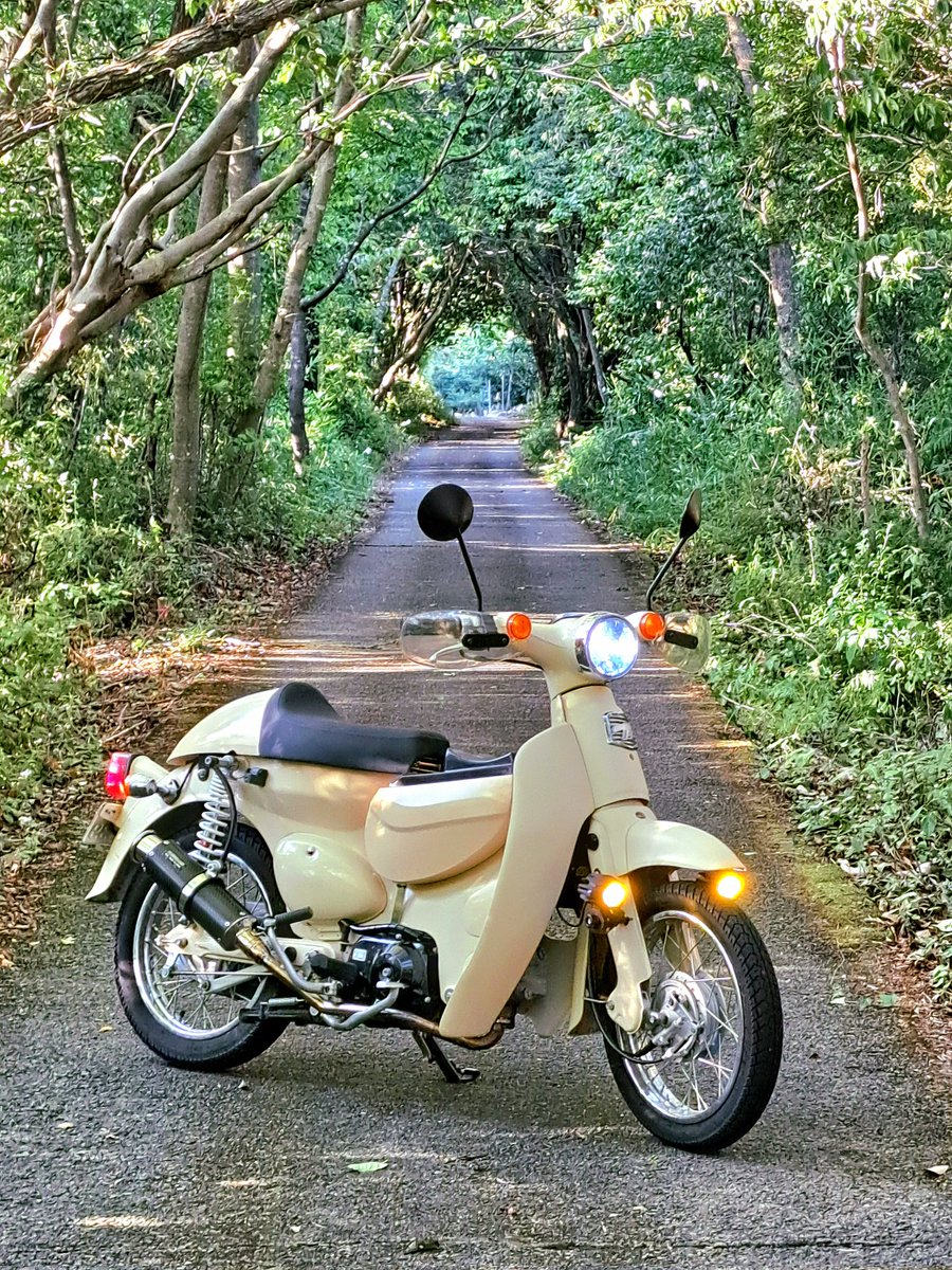 昆虫採集の帰り道　良い感じの所があったのでパシャリ！
サイドスタンドが外れて悲劇！
ミラー割れてしまったー！
そしてマフラーBEAMSに換えましたー
めちゃくちゃ良い！音も走りも！
もう換えなくても良いかも