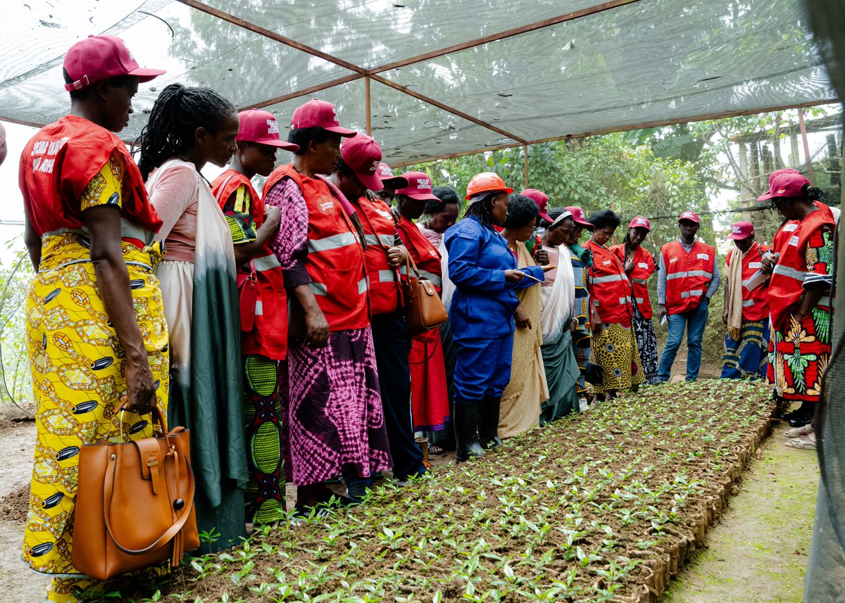 ABK Cooperative, Gakenke
Governance, innovation, and sisterhood in action! we had the opportunity to learn from and witness how the women of ABK (Abakunda Kawa) are transforming coffee farming and uplifting their entire community.
💡 Real stories, real impact. The women at ABK