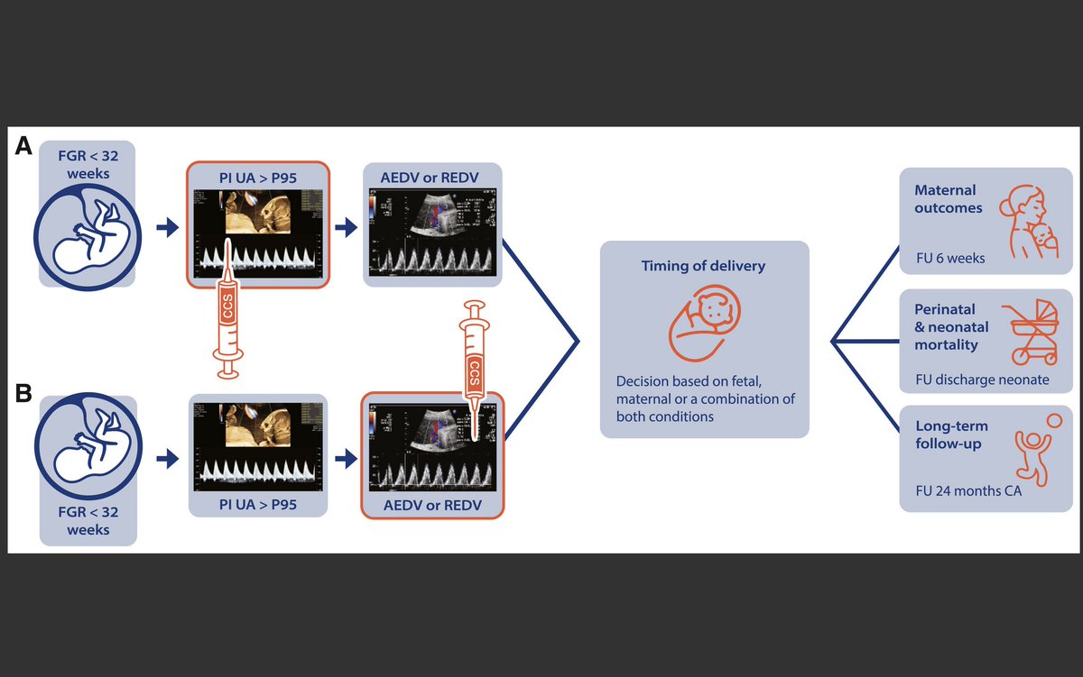 OPtimal TIming of antenatal COrticosteroid administration in pregnancies complicated by early-onset fetal growth REstriction: results of a large multicenter cohort study (the OPTICORE study) ow.ly/HfBG50Wfkom