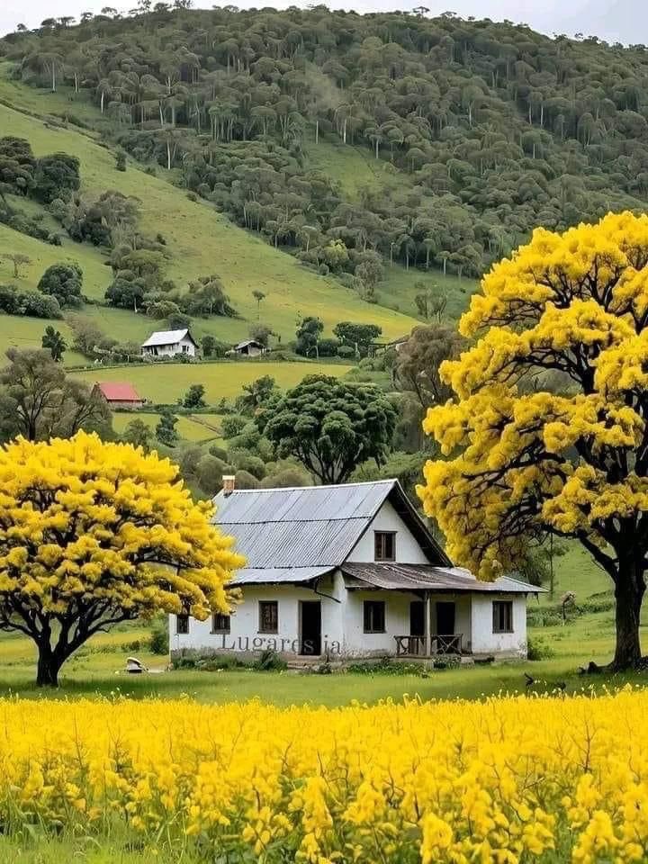 Nature lover (@magical_places3) on Twitter photo  Nature lover (@magical_places3) on Twitter photo