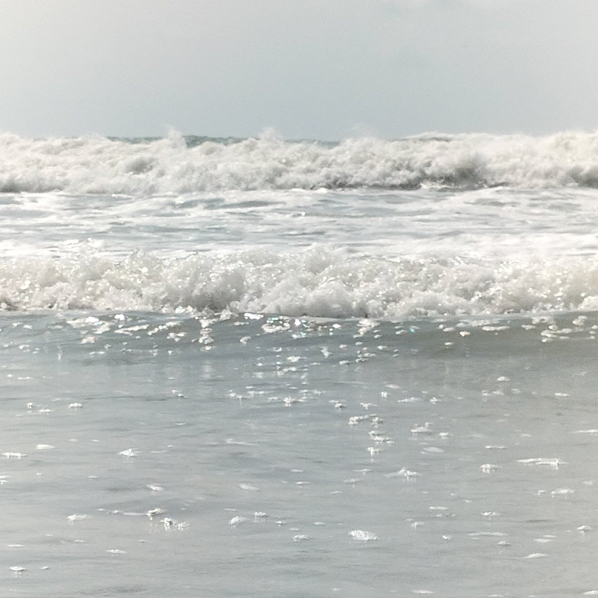 pippo7424's tweet photo. Amici oggi mare mosso 🌊
#maremosso https://t.co/TuiMeCfKbh