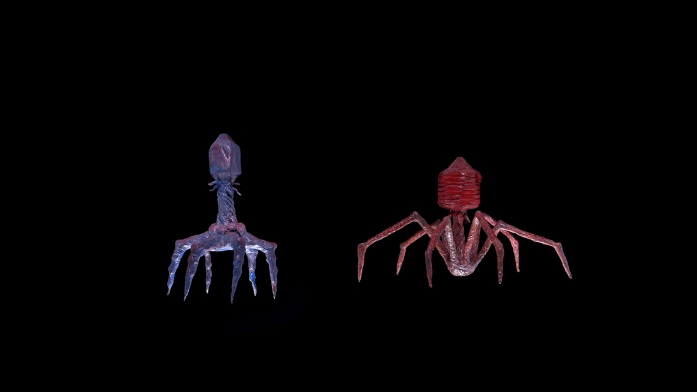 NexaBiome (@nexabiome) on Twitter photo Curious about phage types? From lytic to lysogenic cycles and complex classifications, this Bacteriophage.news article dives deep into what makes phages unique and therapeutic:  
bacteriophage.news/bacteriophage-…   
#Phages #AMR Curious about phage types? From lytic to lysogenic cycles and complex classifications, this Bacteriophage.news article dives deep into what makes phages unique and therapeutic:  
bacteriophage.news/bacteriophage-…   
#Phages #AMR