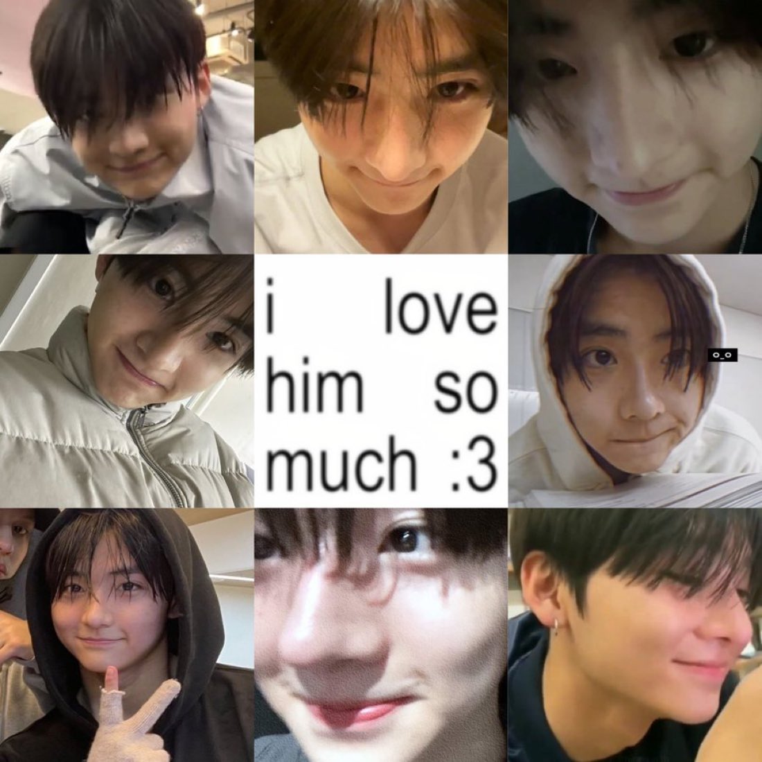 ไลอ้อน tweet media