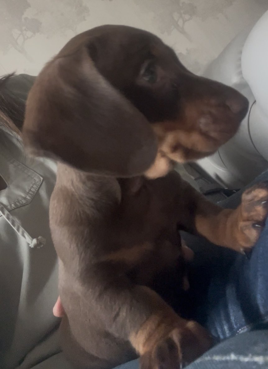 Mamoona Hood tweet media