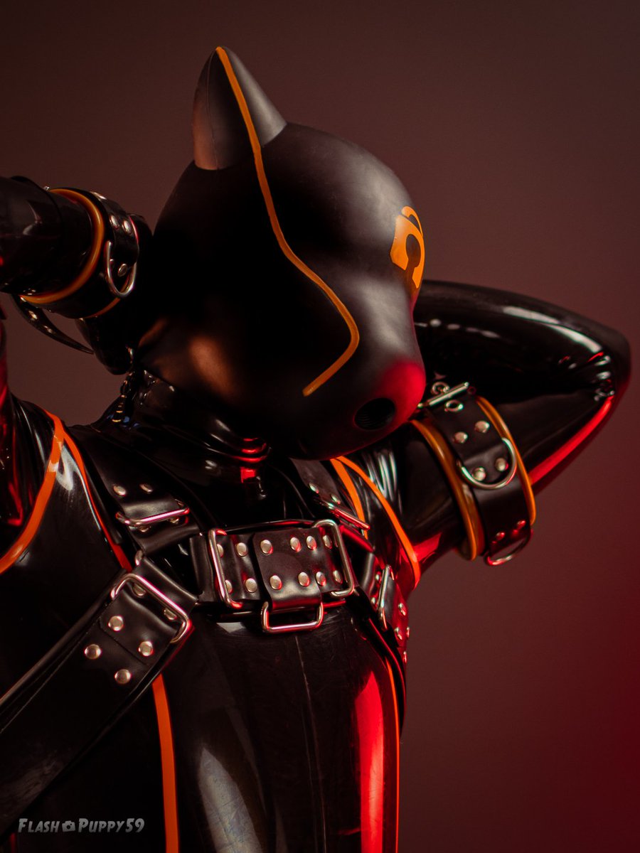 fursrey's tweet photo. All strapped up, shiny, tight & begging to be claimed πΎ
π¦ Ready to be used, owned, & shown off like the filthy pup I am.
Whoβs gonna take me home? π
#PupPlay #LatexSlut #KinkCommunity #SubForUse #FetishGear #OwnedPup #latex
@furrjoi01 https://t.co/NFUSlxkqyw