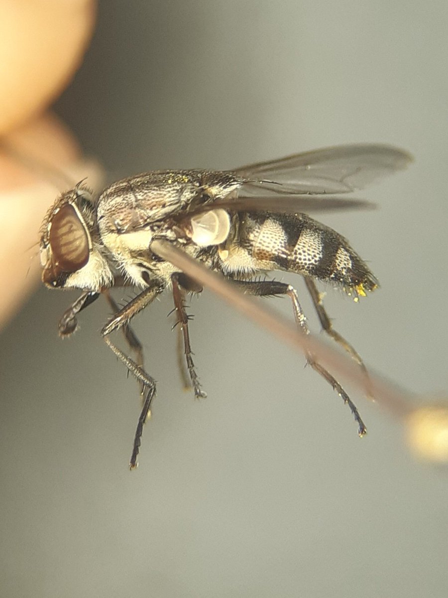 David Basham tweet media