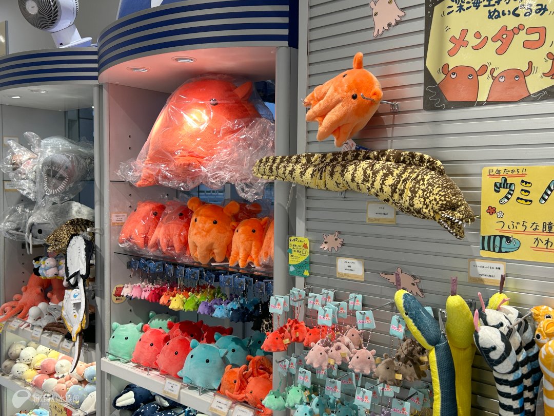 あすも 9時より開館いたします。 1F「メインショップ」や2Fの