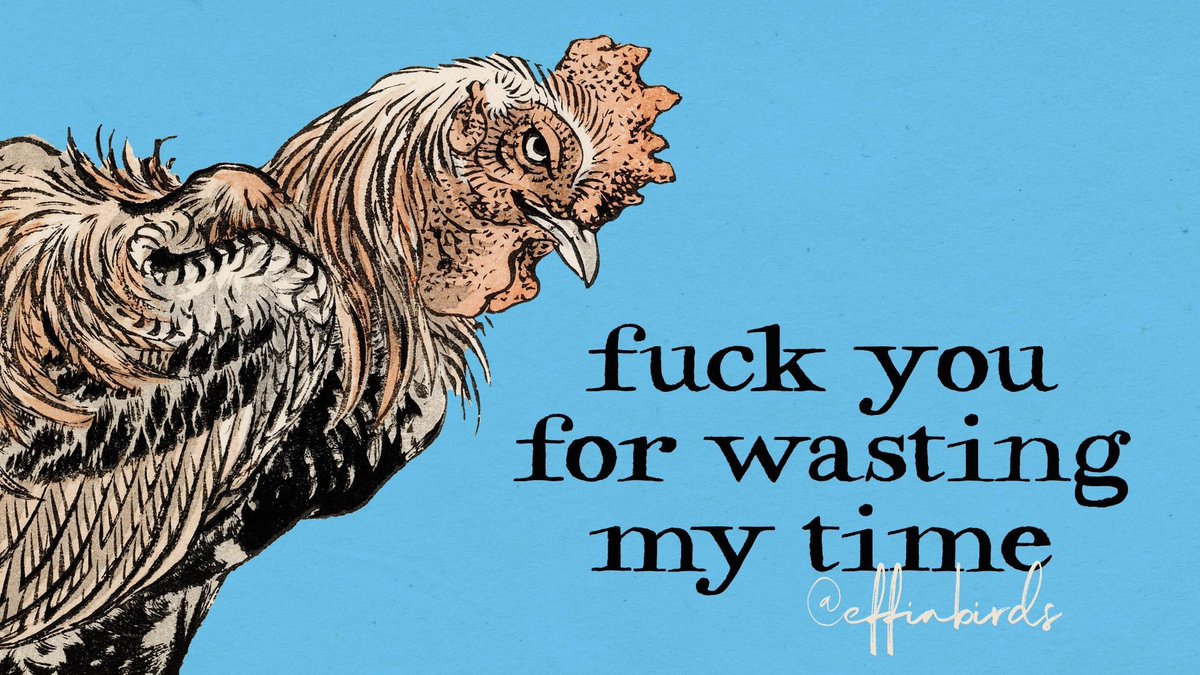 EffinBirds's tweet photo. https://t.co/xcF3SSONZm