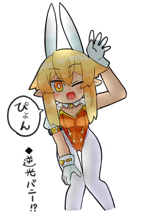 今日のリハビリ
逆光バニー!? 