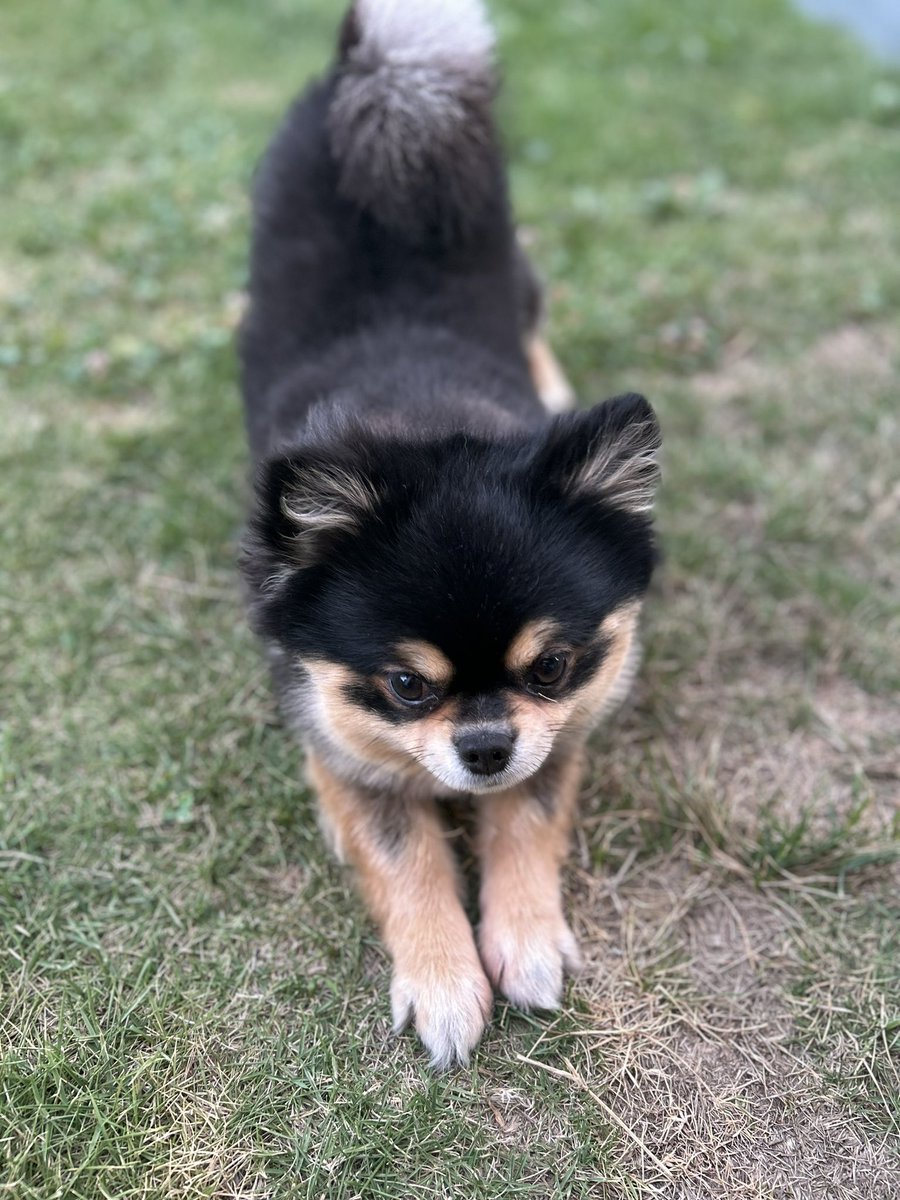 あんよ🐾