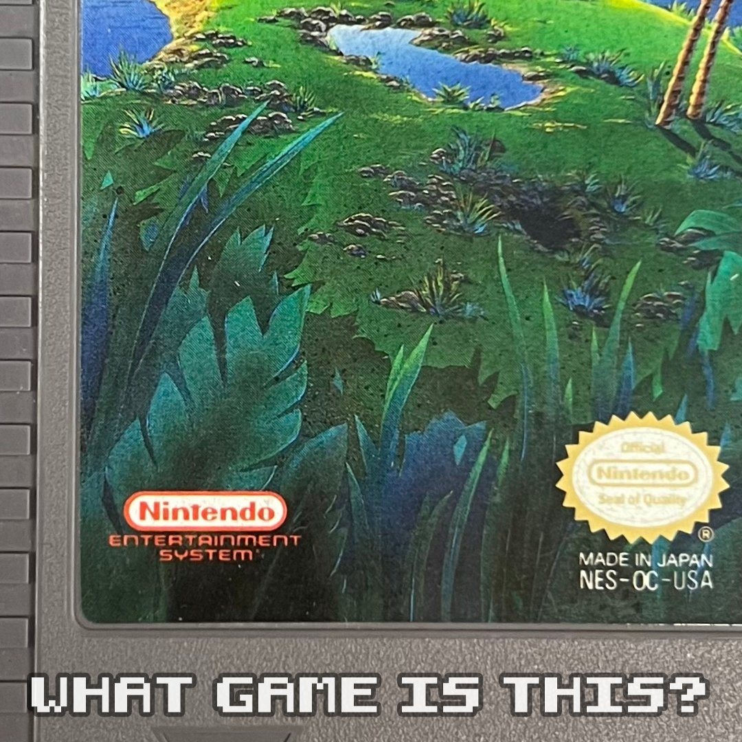 Do you recognize this game?👀👇
.
.
#GuessingGame #NES #RetroGaming