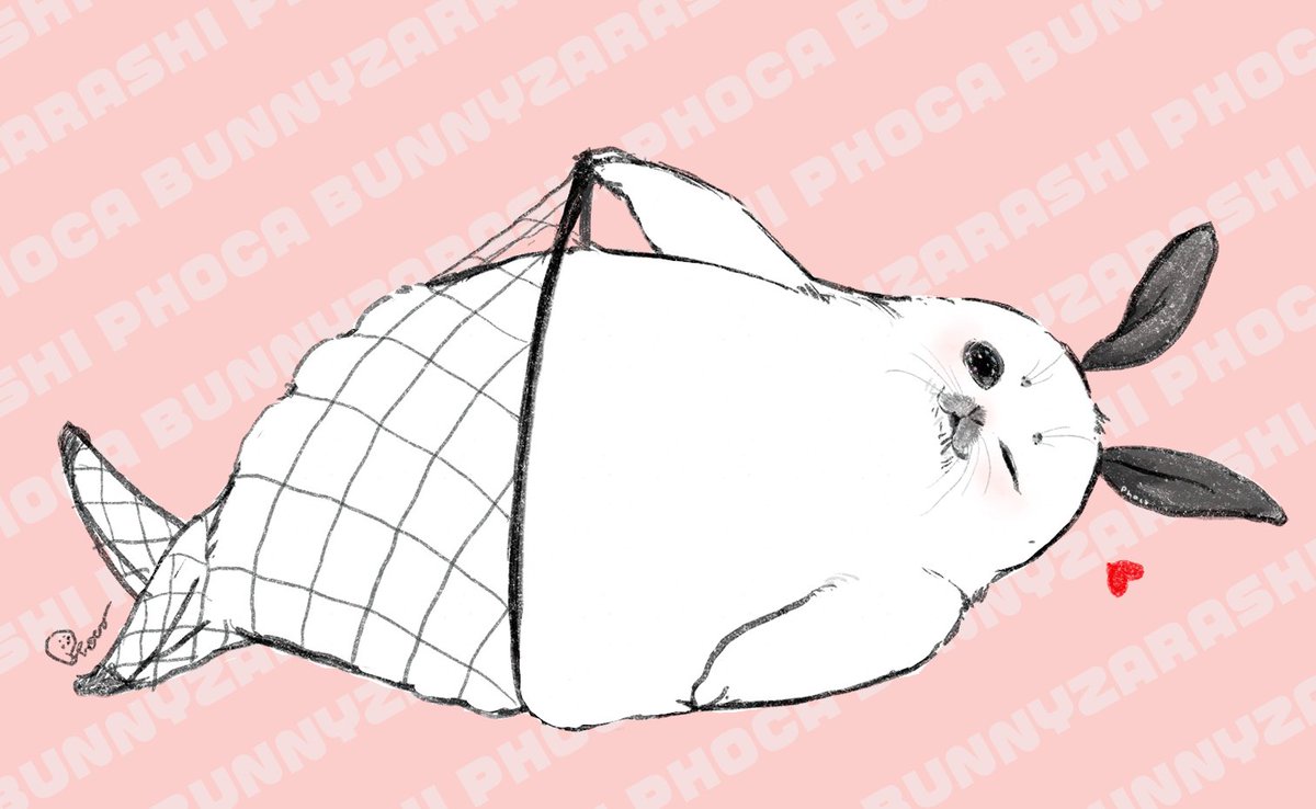 えっ、今日バニーの日なんですか？