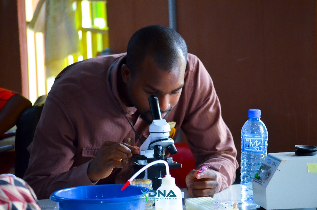 DNALCNigeria's tweet image. BioInnovation Project Group Discussion, where world-changing ideas are brewing!

Day 9 is ON FIRE, and we’re making HISTORY!

#DNALCN #SummerCourse2025 #BioInnovation #ScienceRevolution #dnalcnigeria