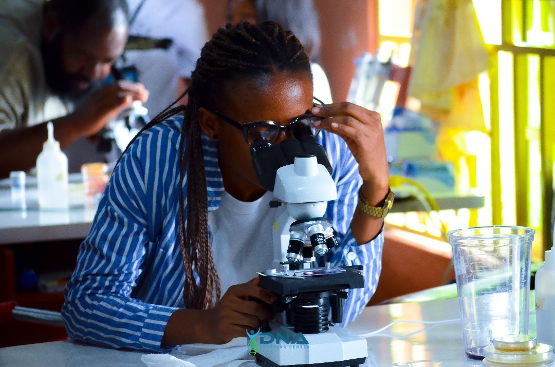 DNALCNigeria's tweet image. BioInnovation Project Group Discussion, where world-changing ideas are brewing!

Day 9 is ON FIRE, and we’re making HISTORY!

#DNALCN #SummerCourse2025 #BioInnovation #ScienceRevolution #dnalcnigeria