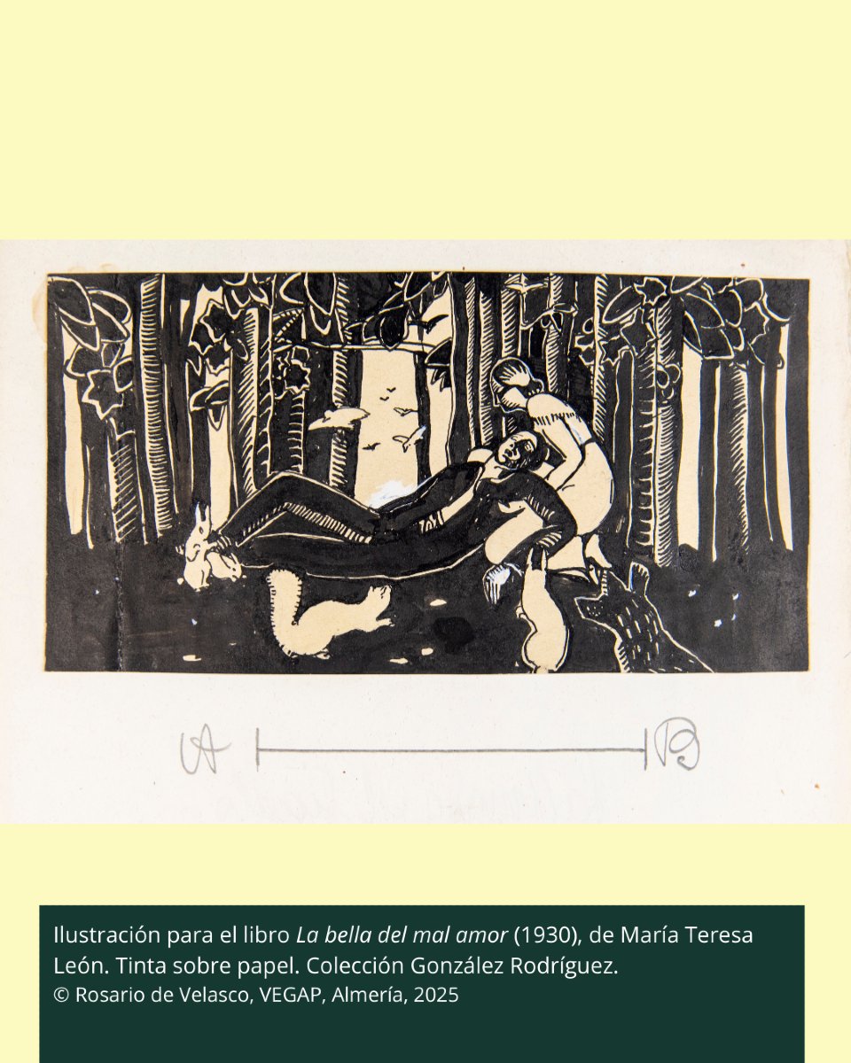 🔍 ¿Sabías que en el MUREC puedes ver ilustraciones nunca antes expuestas de Rosario de Velasco?

🎨 Entre ellas, las que realizó para La bella del mal amor (1930), junto a María Teresa León: relatos sobre mujeres “malcasadas” en la Castilla rural.

#Murec #RDeVMurec
