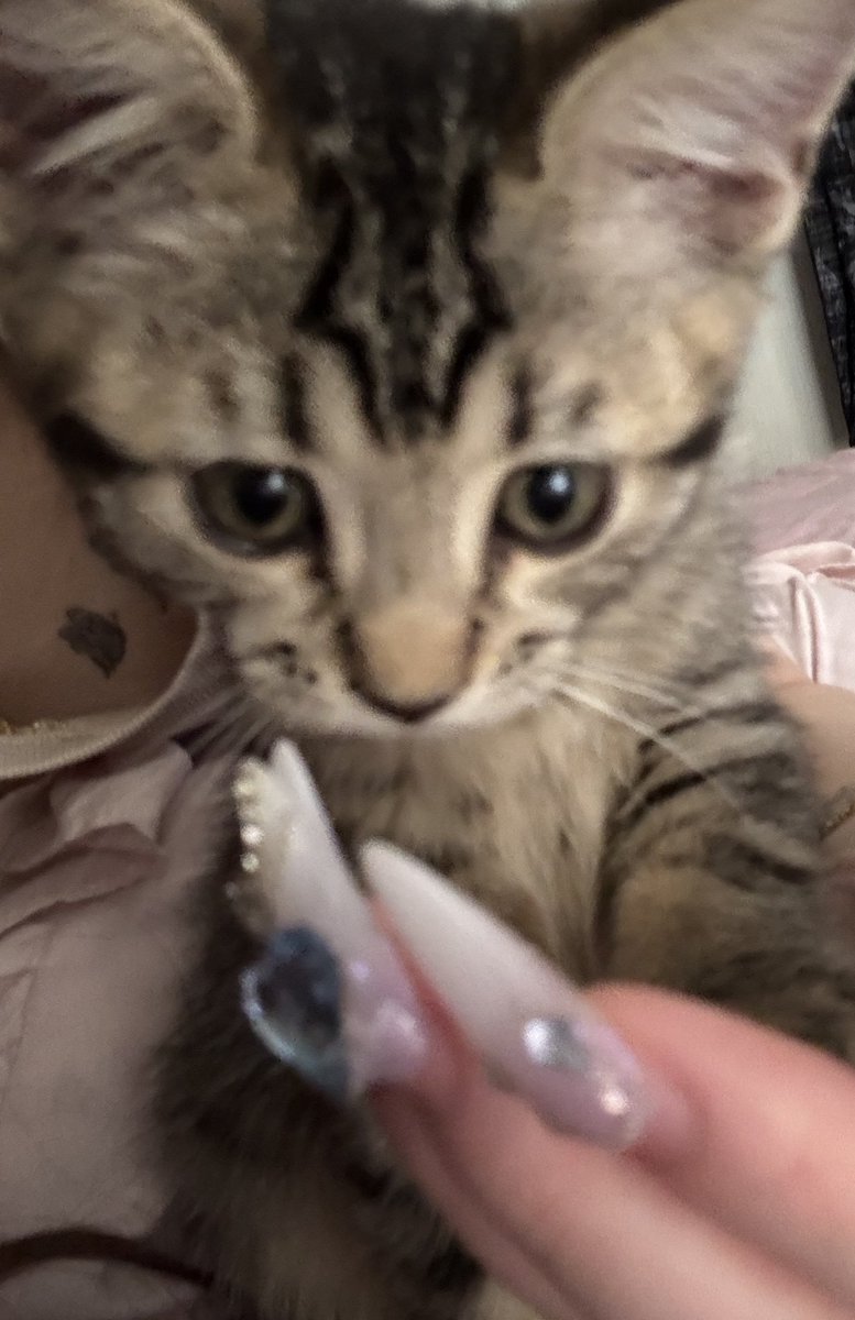 おれのてんしちゃん