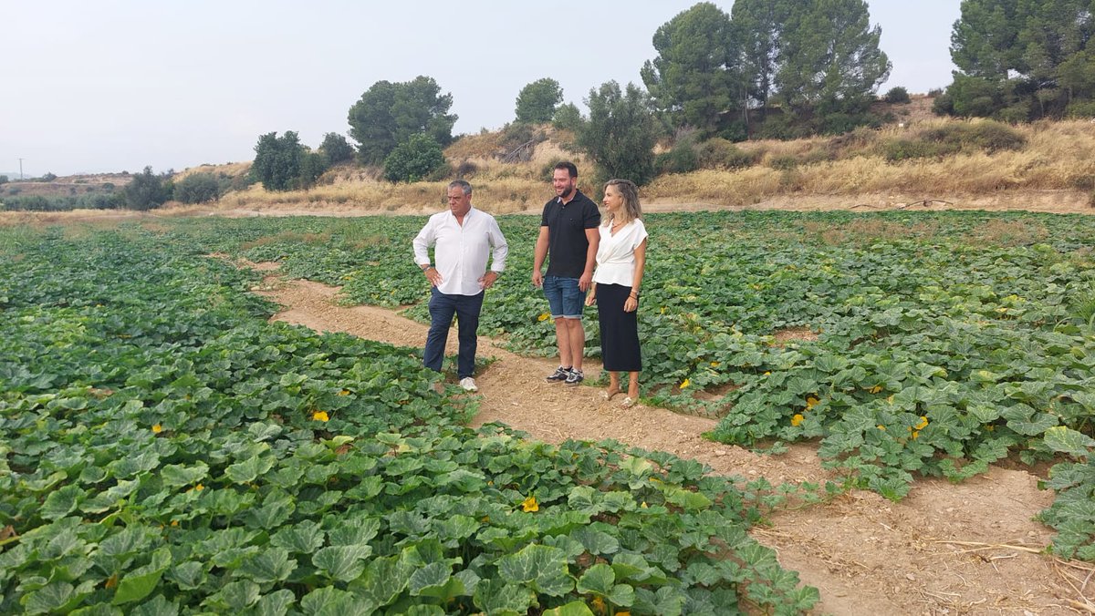 El Gobierno regional inicia el pago del segundo tramo de la ayuda a 228 jóvenes agricultores

Percibirán 9,7 millones de euros correspondiente al segundo pago de la anualidad, ya que el primer pago se abonó a finales de 2024

La actual convocatoria contempla un incremento del