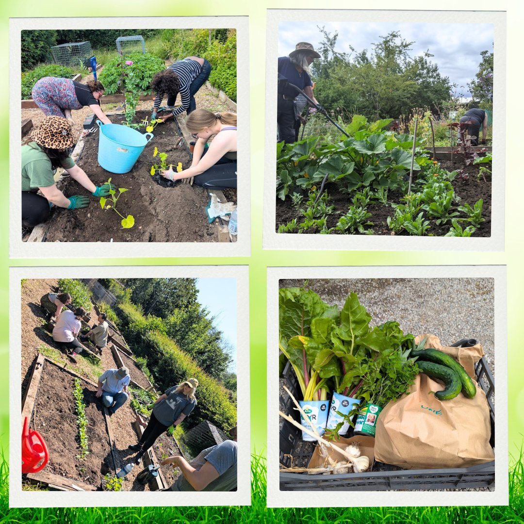 Forever Notts tweet media