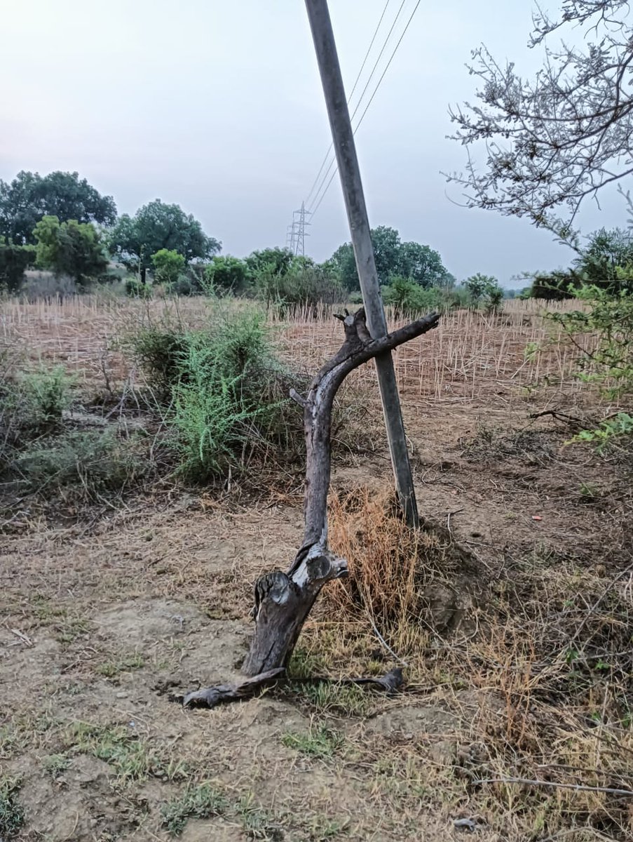 prakashojhacktd's tweet image. chitrakoot
➡️लकड़ी के सहारे विद्युत विभाग के पोल
➡️बीते1 साल से मौत को दावत देते ये बिजली के खम्भे
➡️जिम्मेदारों को कई बार अवगत कराने के बाद भी नही हुआ निस्तारण
➡️मामला बोडी पोखरी फीडर के अंतर्गत छीबो के मजरा झंडा पुरवा का @dvvnlhq
@aksharmaBharat