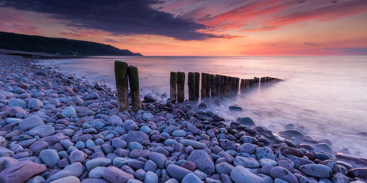 Defra Public Appointments tweet media